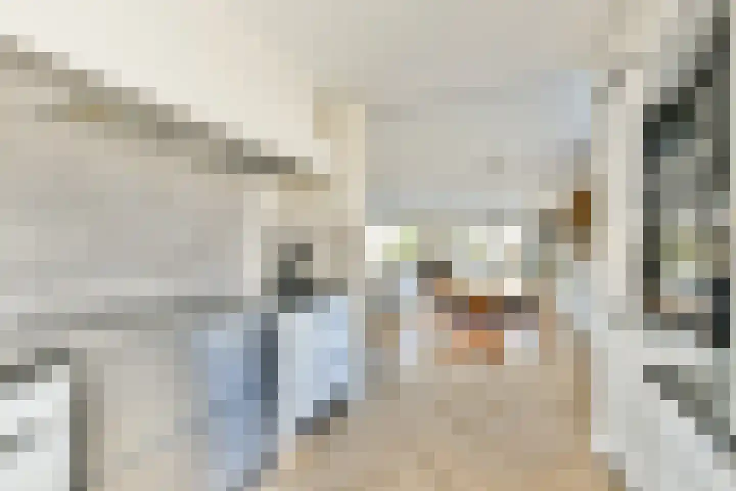 Buitengaats 48 Amstelveen thumbnail 11