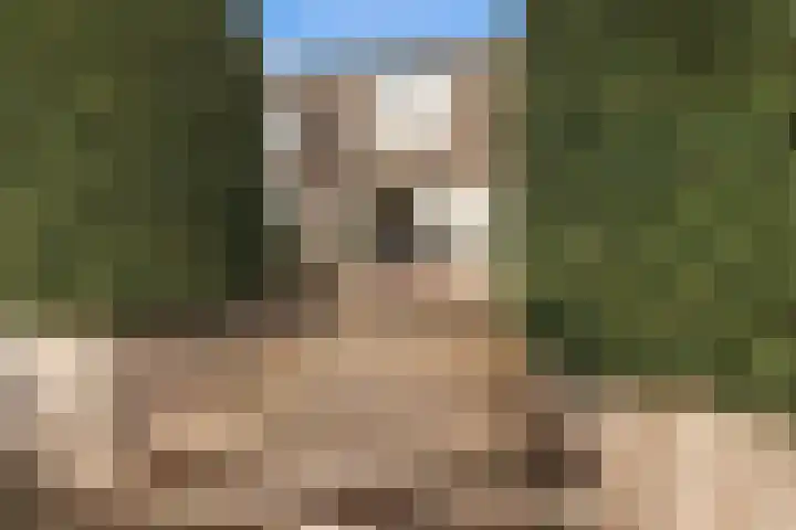 Buitengaats 58 Amstelveen thumbnail 38