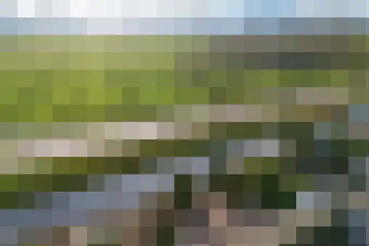 Buitengaats 58 Amstelveen thumbnail 43