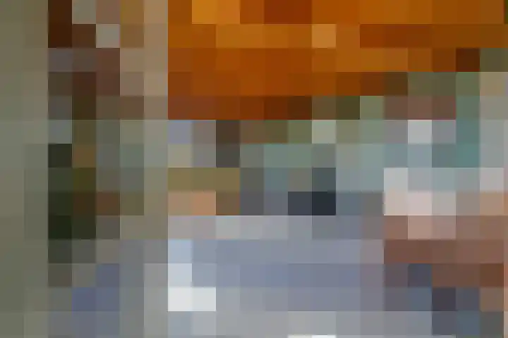 Buitengouwweg 1 Middelie thumbnail 17