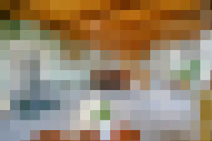 Buitengouwweg 1 Middelie thumbnail 24