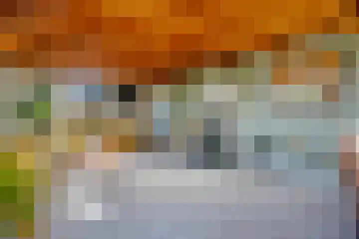 Buitengouwweg 1 Middelie thumbnail 27