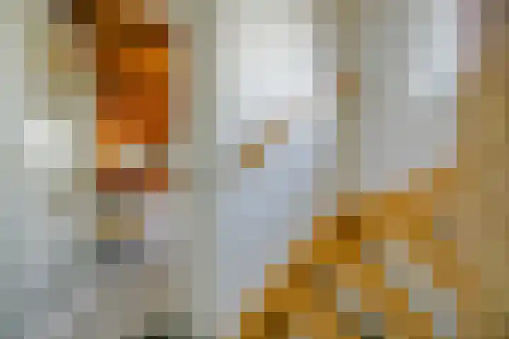 Buitengouwweg 1 Middelie thumbnail 28