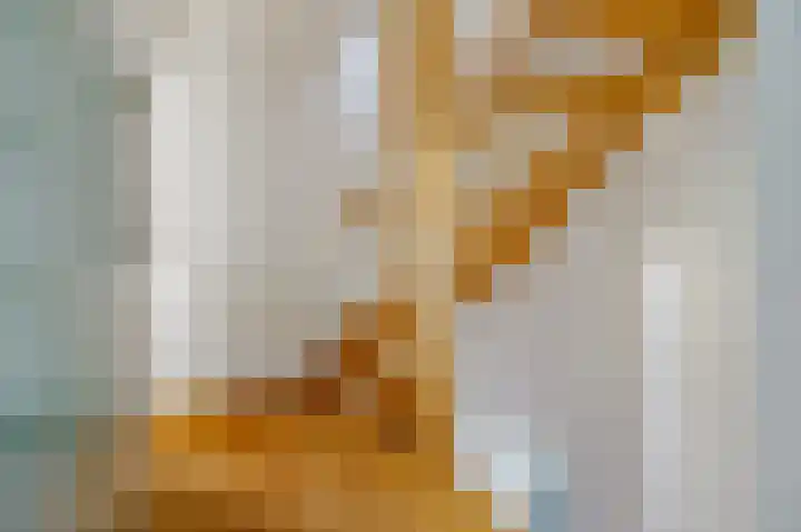 Buitengouwweg 1 Middelie thumbnail 33