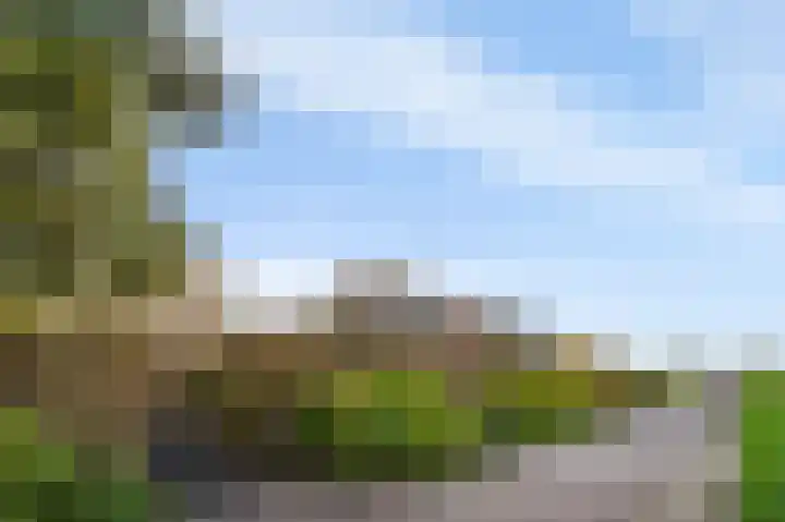 Buitengouwweg 1 Middelie thumbnail 39