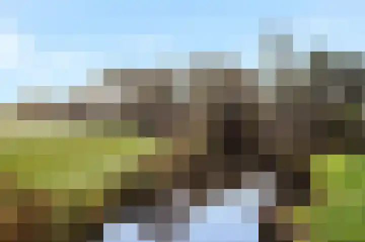 Buitengouwweg 1 Middelie thumbnail 45
