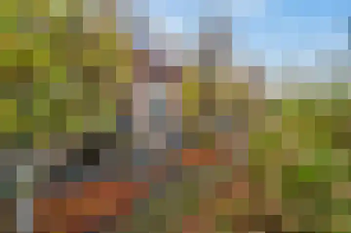 Buitengouwweg 1 Middelie thumbnail 47