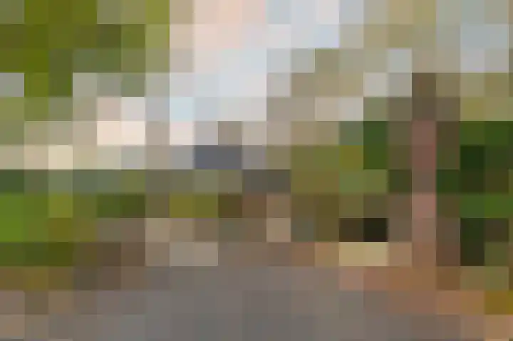 Buitengouwweg 1 Middelie thumbnail 48