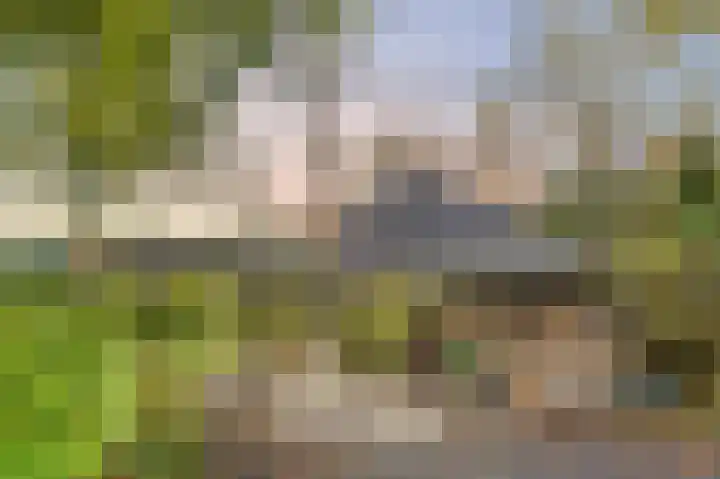 Buitengouwweg 1 Middelie thumbnail 49