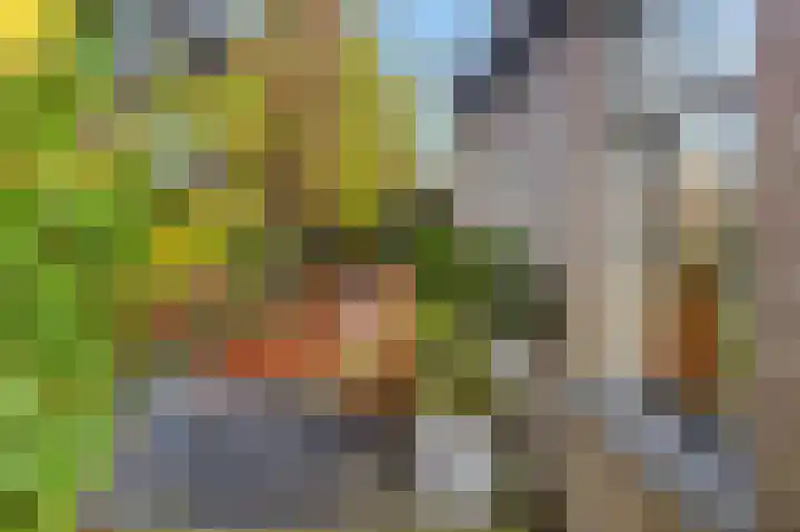 Buitengouwweg 1 Middelie thumbnail 5