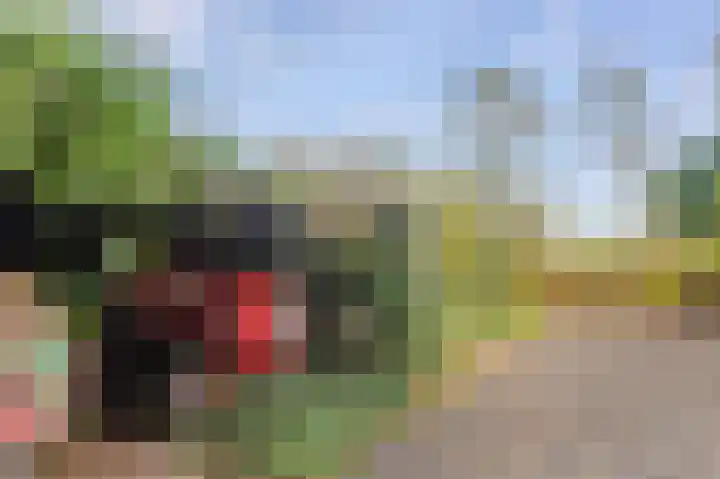 Buitengouwweg 1 Middelie thumbnail 51