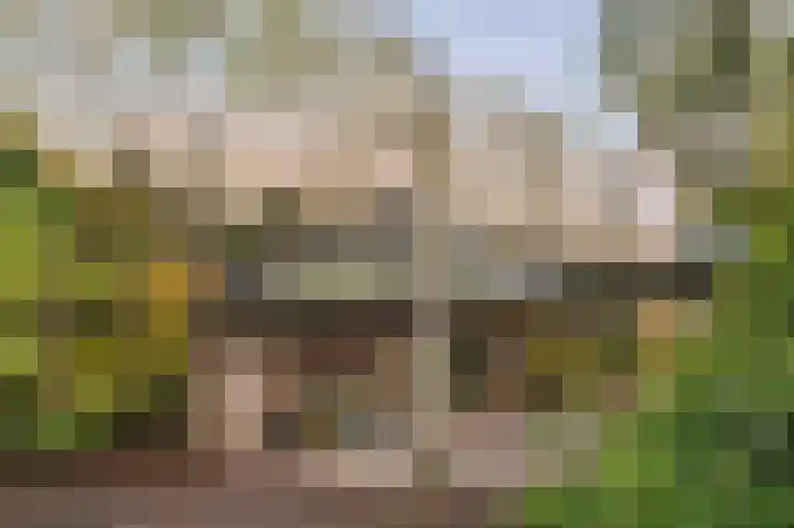 Buitengouwweg 1 Middelie thumbnail 52