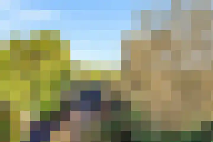 Buitengouwweg 1 Middelie thumbnail 53