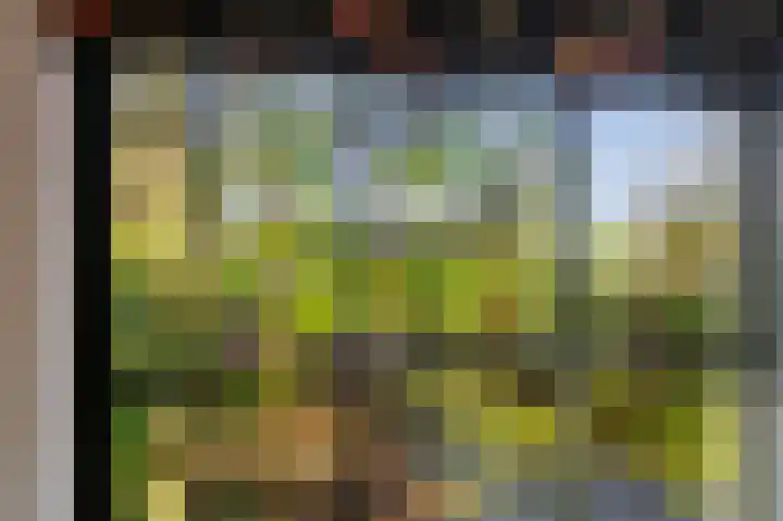 Buitengouwweg 1 Middelie thumbnail 55
