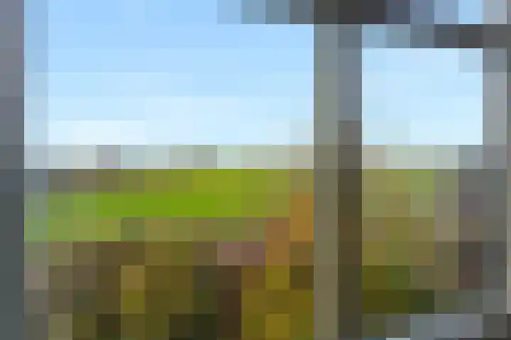 Buitengouwweg 1 Middelie thumbnail 56