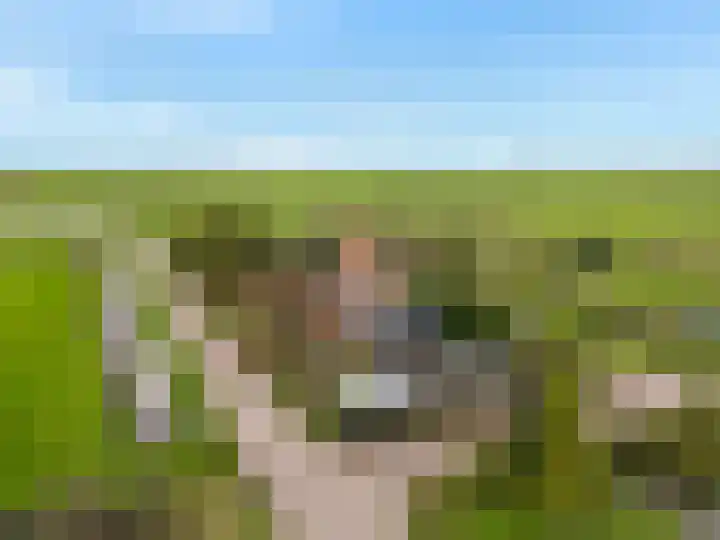 Buitengouwweg 1 Middelie thumbnail 59