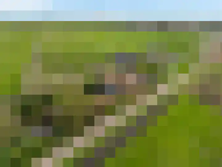 Buitengouwweg 1 Middelie thumbnail 61