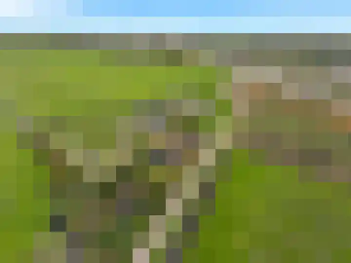 Buitengouwweg 1 Middelie thumbnail 62