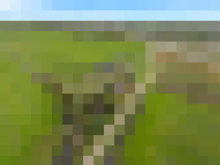 Buitengouwweg 1 Middelie thumbnail 63