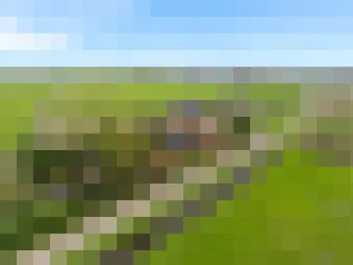 Buitengouwweg 1 Middelie thumbnail 64