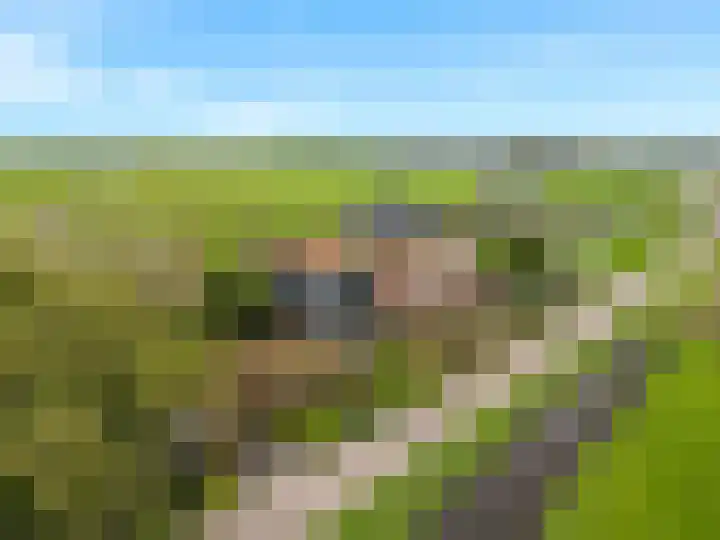Buitengouwweg 1 Middelie thumbnail 65