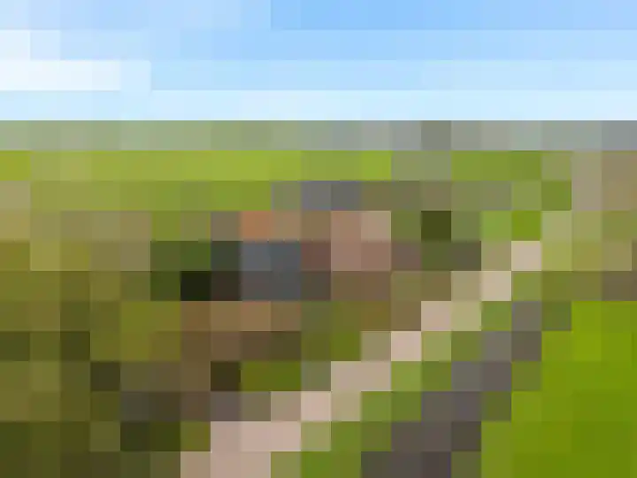 Buitengouwweg 1 Middelie thumbnail 66