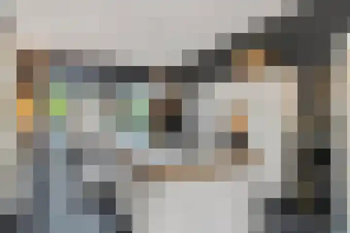 Buitengracht 10 Bemmel thumbnail 10