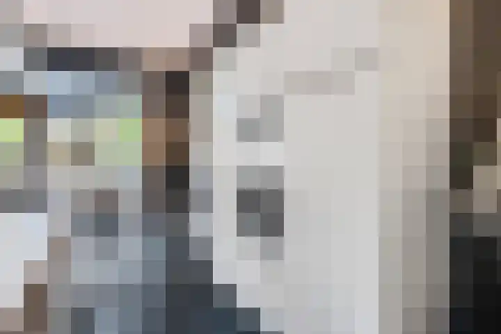 Buitengracht 10 Bemmel thumbnail 11