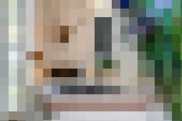 Buitengracht 10 Bemmel thumbnail 12