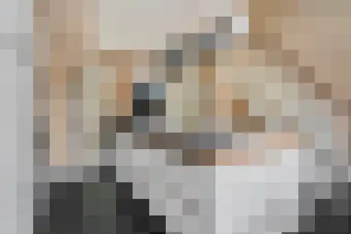 Buitengracht 10 Bemmel thumbnail 16