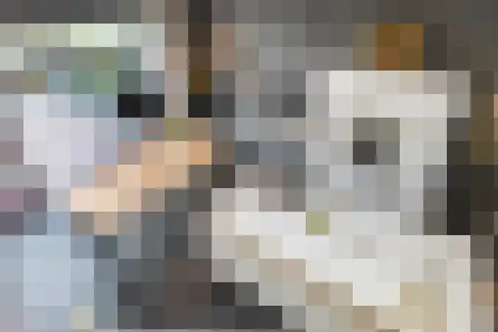 Buitengracht 10 Bemmel thumbnail 22