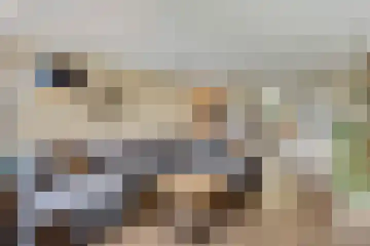 Buitengracht 10 Bemmel thumbnail 26