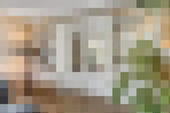 Buitengracht 10 Bemmel thumbnail 28