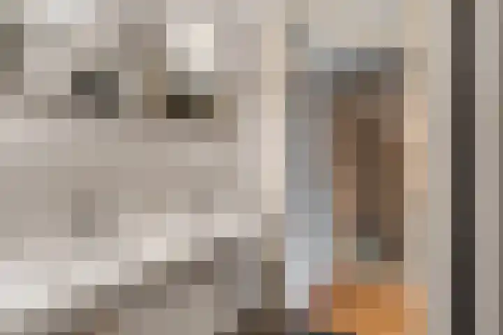 Buitengracht 10 Bemmel thumbnail 41