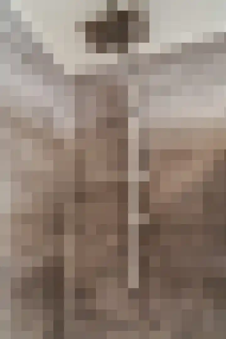 Buitengracht 10 Bemmel thumbnail 43
