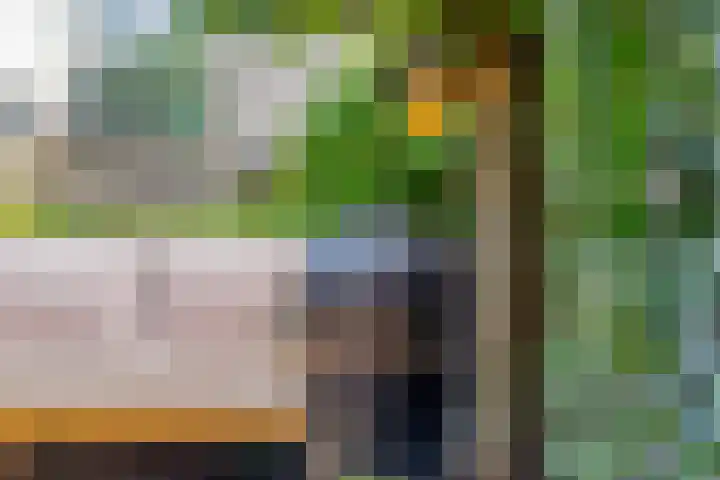 Buitengracht 10 Bemmel thumbnail 51