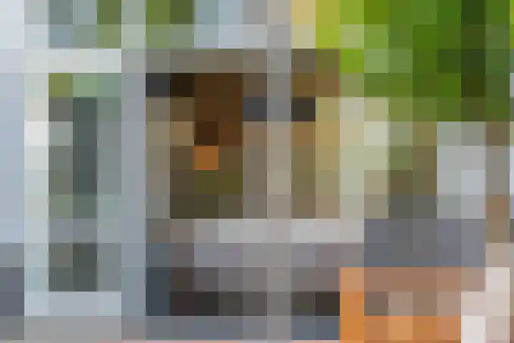 Buitengracht 10 Bemmel thumbnail 52