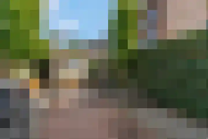 Buitengracht 10 Bemmel thumbnail 53