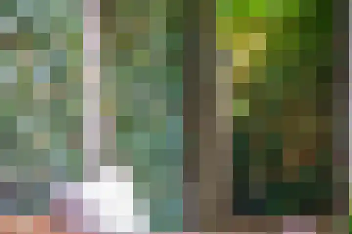 Buitengracht 10 Bemmel thumbnail 55