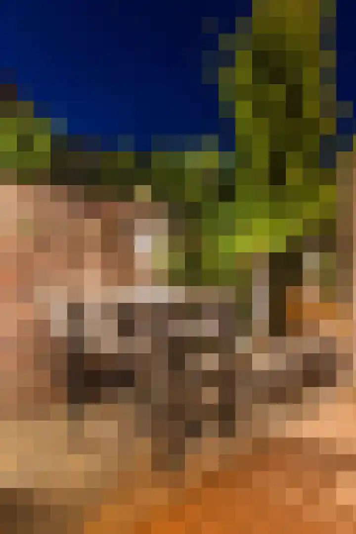 Buitengracht 10 Bemmel thumbnail 61