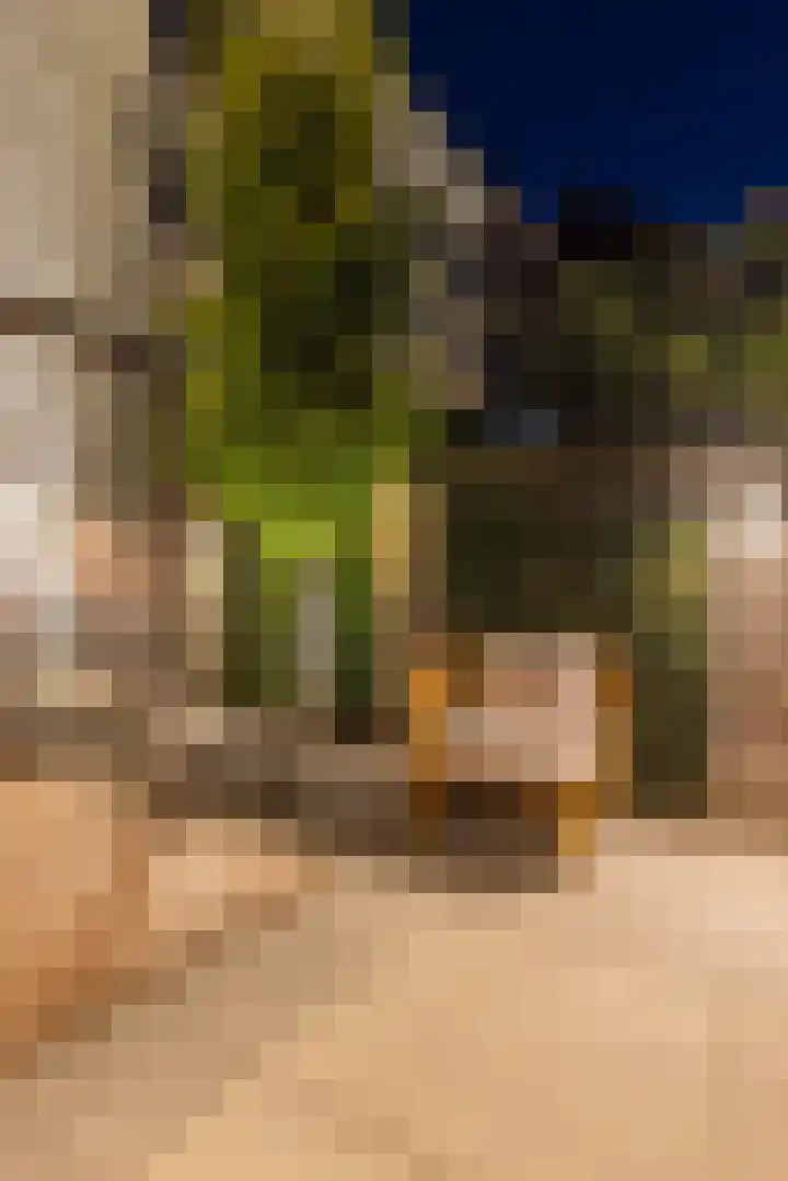 Buitengracht 10 Bemmel thumbnail 64