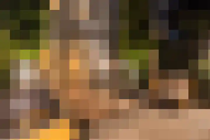 Buitengracht 10 Bemmel thumbnail 65