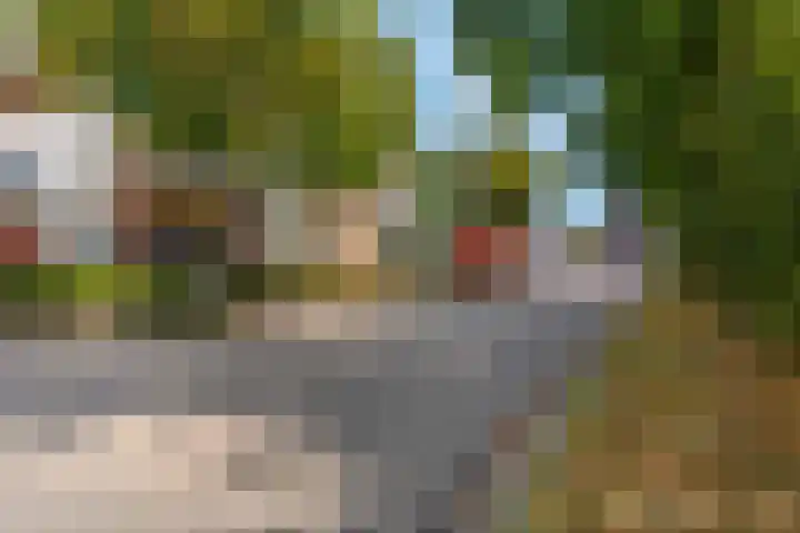 Buitengracht 10 Bemmel thumbnail 71