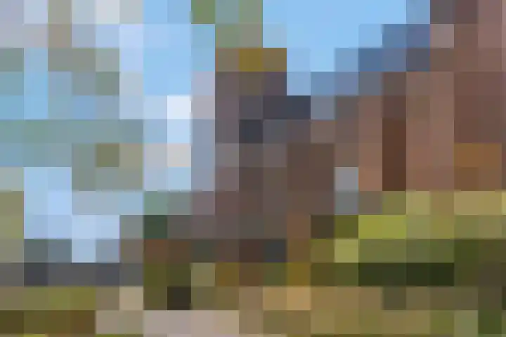 Buitengracht 10 Bemmel thumbnail 74