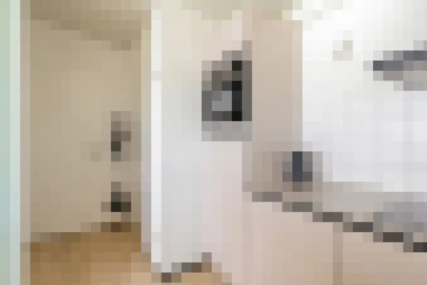 Buitengronden 7 015 Zwartewaal thumbnail 12