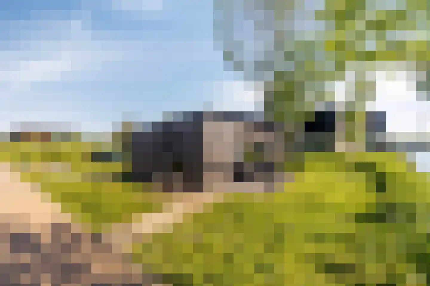 Buitengronden 7 015 Zwartewaal thumbnail 24