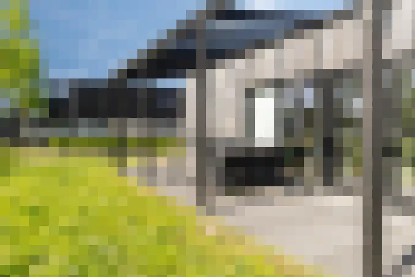 Buitengronden 7 015 Zwartewaal thumbnail 27