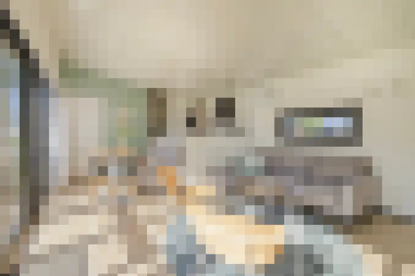 Buitengronden 7 015 Zwartewaal thumbnail 5