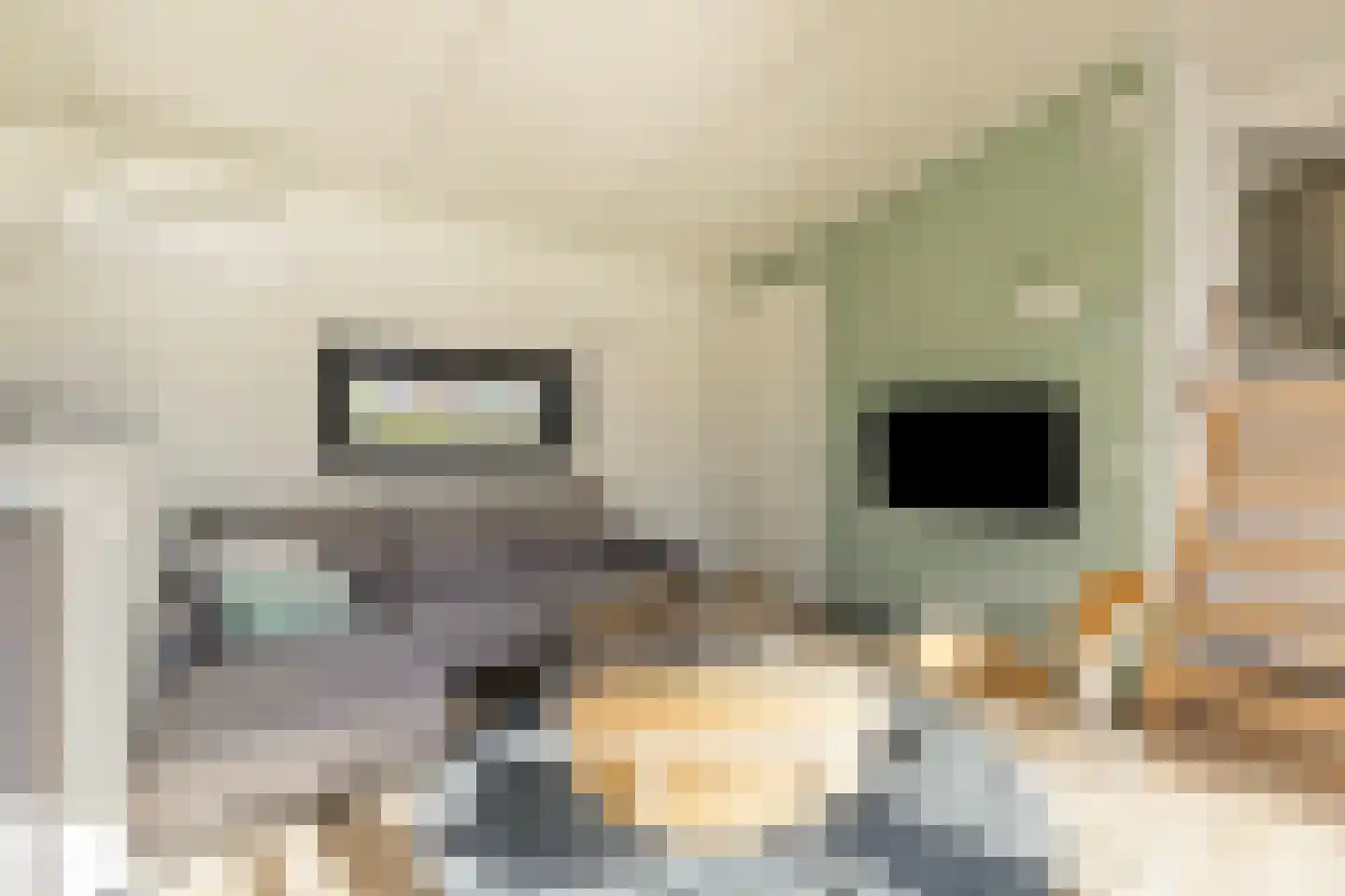 Buitengronden 7 015 Zwartewaal thumbnail 6