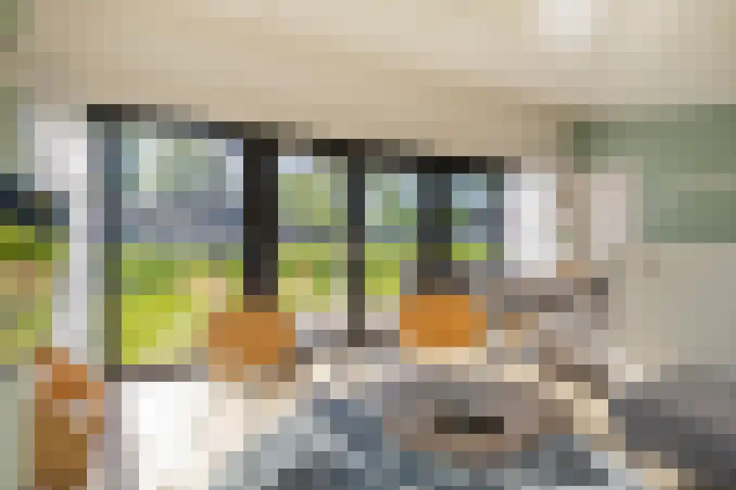 Buitengronden 7 015 Zwartewaal thumbnail 7